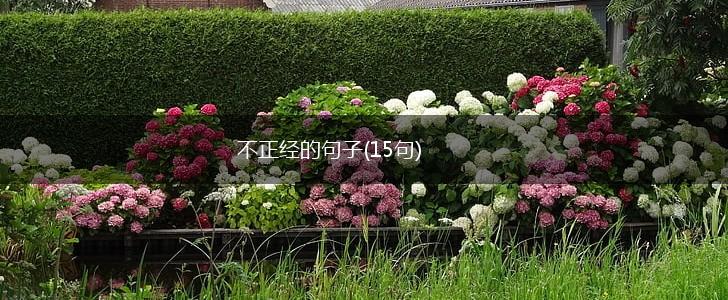 不正经的句子(15句),第1张