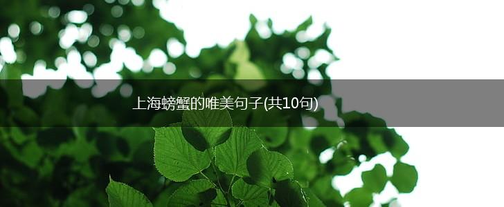 上海螃蟹的唯美句子(共10句),第1张