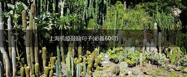 上海抗疫鼓励句子(必备60句),第1张