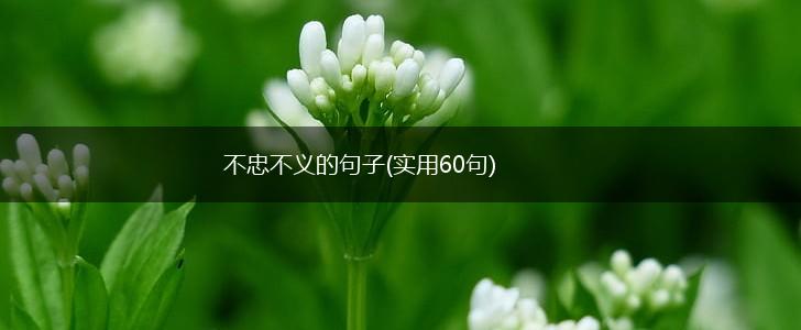 不忠不义的句子(实用60句),第1张