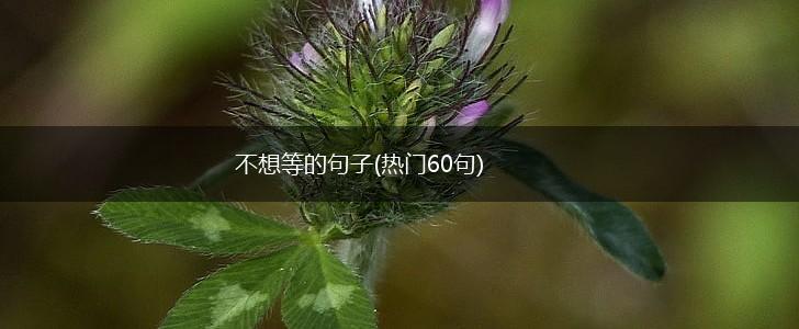 不想等的句子(热门60句),第1张