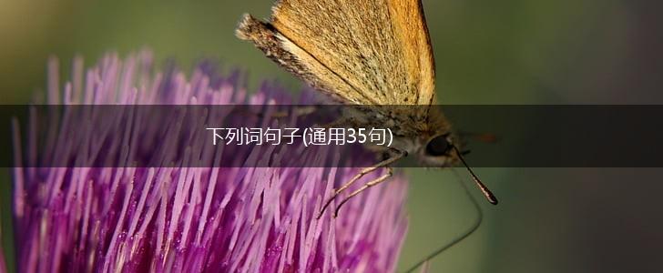 下列词句子(通用35句),第1张
