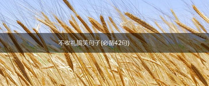 不收礼搞笑句子(必备42句),第1张