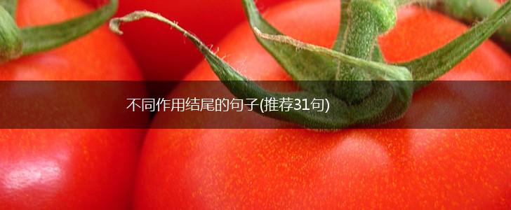 不同作用结尾的句子(推荐31句),第1张
