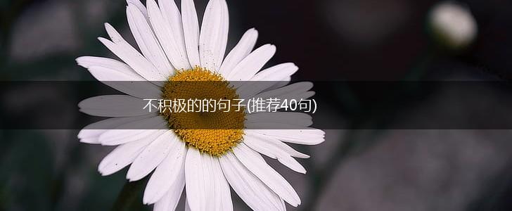 不积极的的句子(推荐40句),第1张
