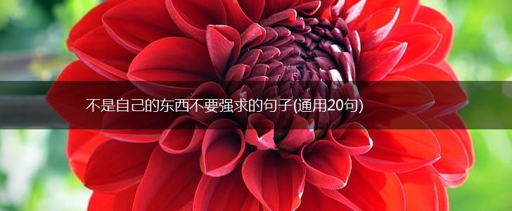 不是自己的东西不要强求的句子(通用20句),第1张
