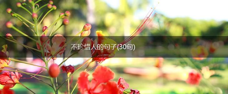 不珍惜人的句子(30句),第1张