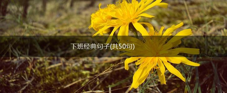 下班经典句子(共50句),第1张