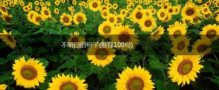 不明白的句子(推荐100句),第1张