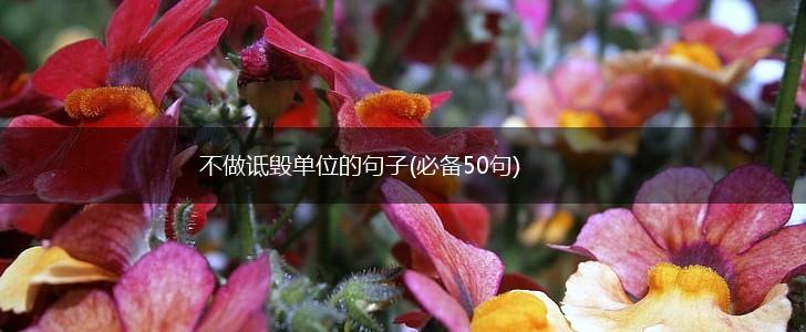 不做诋毁单位的句子(必备50句),第1张