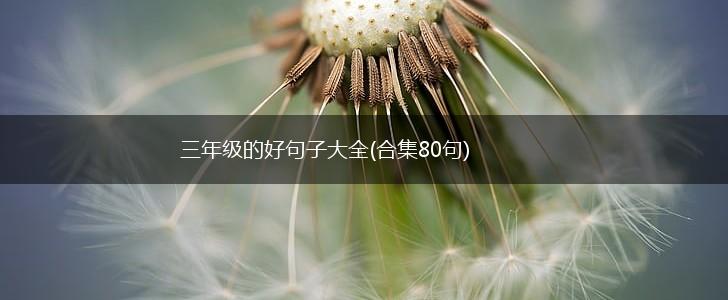 三年级的好句子大全(合集80句),第1张