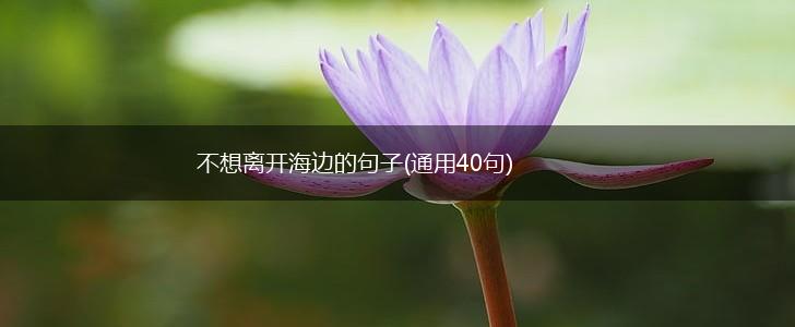 不想离开海边的句子(通用40句),第1张