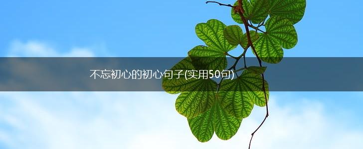 不忘初心的初心句子(实用50句),第1张
