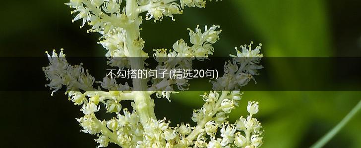 不勾搭的句子(精选20句),第1张