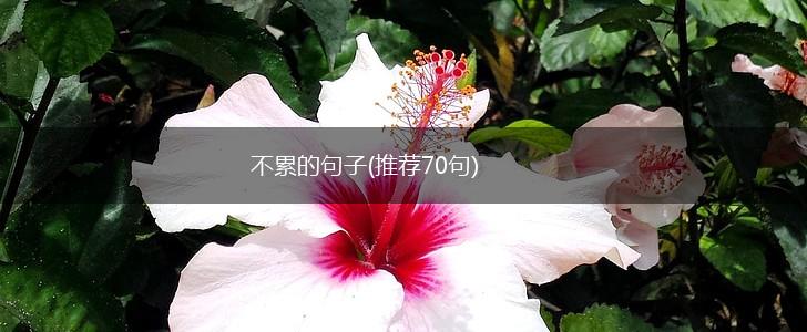 不累的句子(推荐70句),第1张