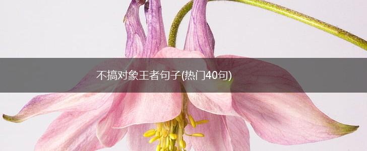 不搞对象王者句子(热门40句),第1张