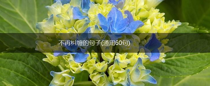 不再纠缠的句子(通用60句),第1张