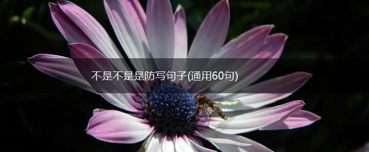 不是不是是防写句子(通用60句),第1张