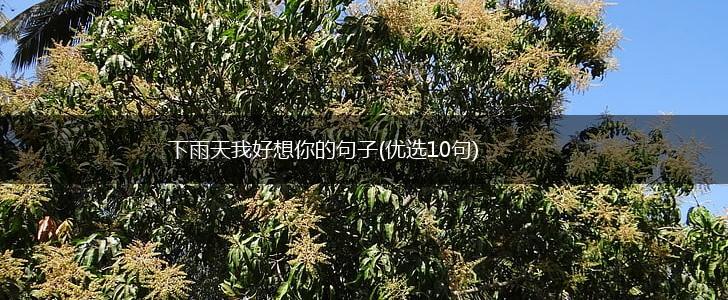 下雨天我好想你的句子(优选10句),第1张