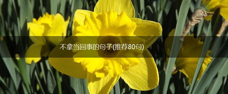 不拿当回事的句子(推荐80句),第1张