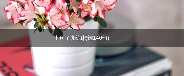 上句子训练(精选140句),第1张
