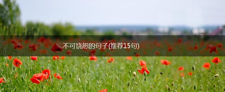 不可饶恕的句子(推荐15句),第1张