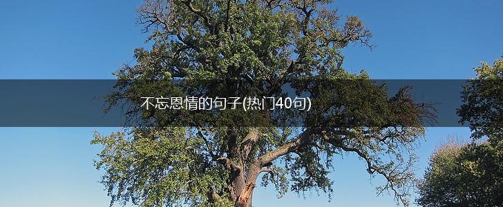 不忘恩情的句子(热门40句),第1张