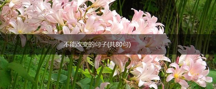 不能改变的句子(共80句),第1张