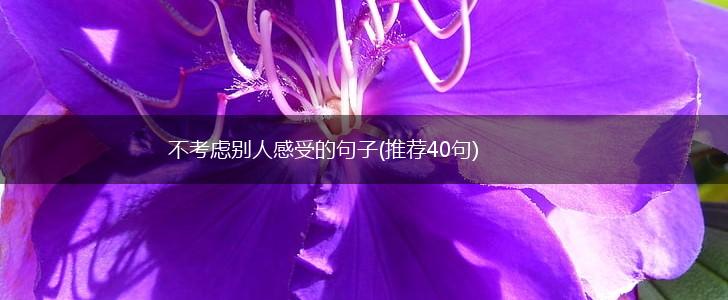 不考虑别人感受的句子(推荐40句),第1张