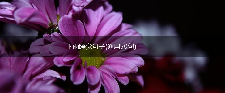 下雨睡觉句子(通用50句),第1张