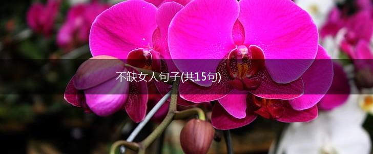不缺女人句子(共15句),第1张