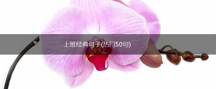 上班经典句子(热门50句),第1张