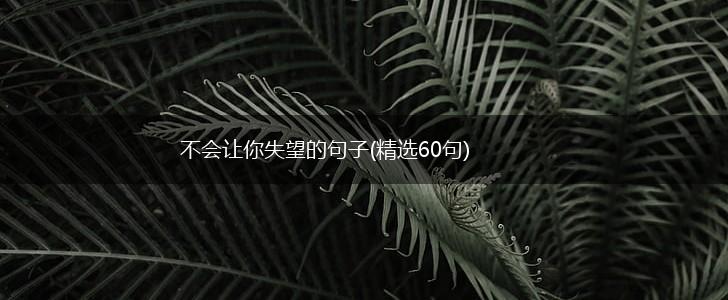 不会让你失望的句子(精选60句),第1张