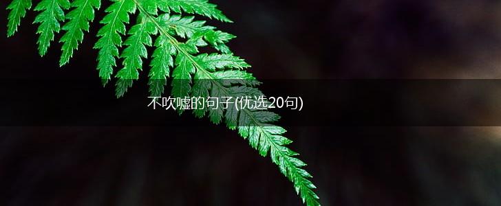 不吹嘘的句子(优选20句),第1张