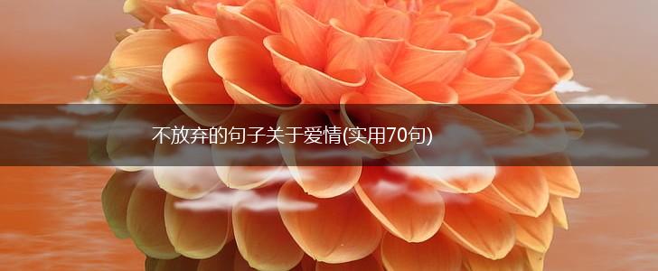 不放弃的句子关于爱情(实用70句),第1张