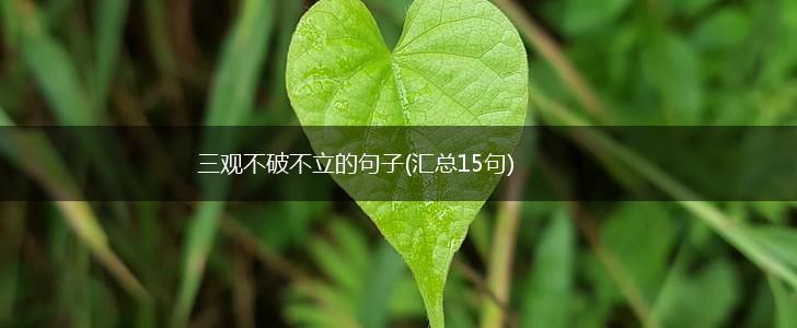 三观不破不立的句子(汇总15句),第1张