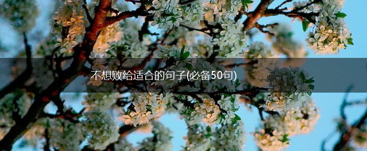 不想败给适合的句子(必备50句),第1张
