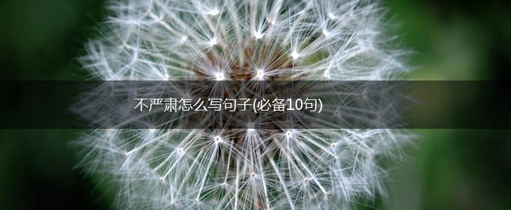不严肃怎么写句子(必备10句),第1张