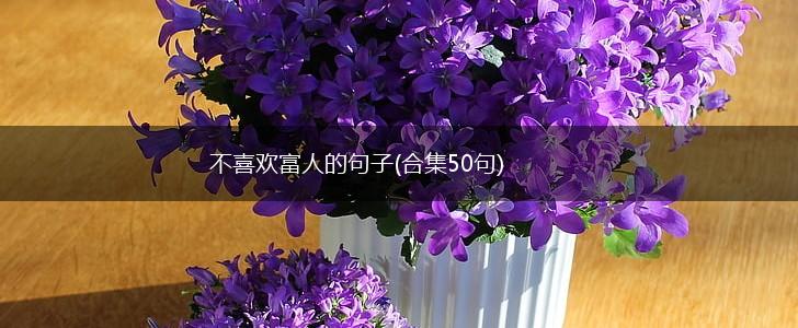 不喜欢富人的句子(合集50句),第1张