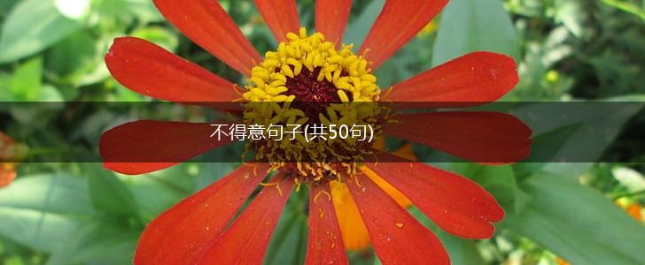 不得意句子(共50句),第1张