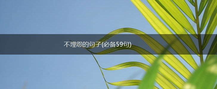 不埋怨的句子(必备59句),第1张