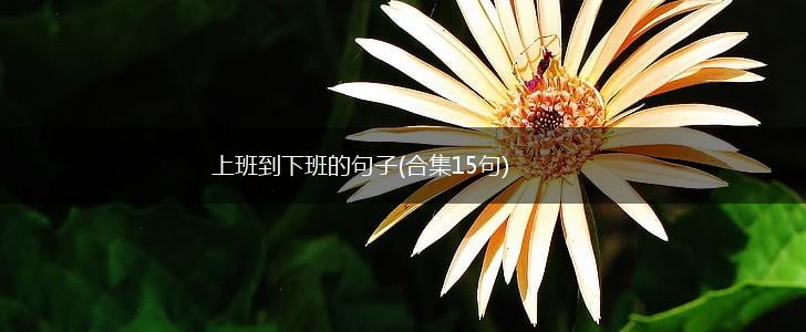 上班到下班的句子(合集15句),第1张