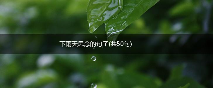 下雨天思念的句子(共50句),第1张
