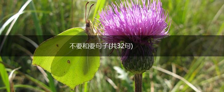 不要和要句子(共32句),第1张