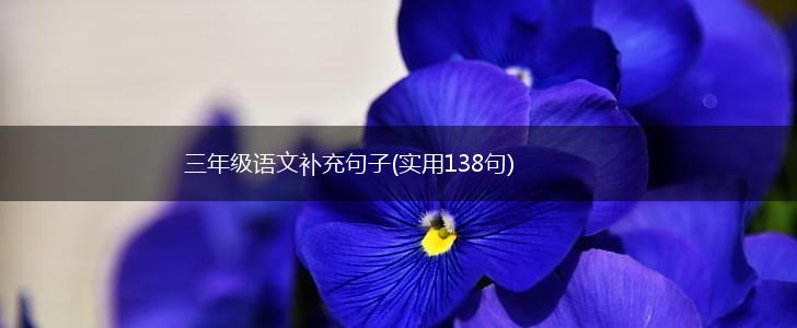 三年级语文补充句子(实用138句),第1张