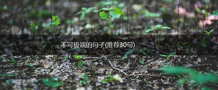 不可极端的句子(推荐30句),第1张
