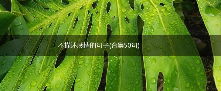 不描述感情的句子(合集50句),第1张
