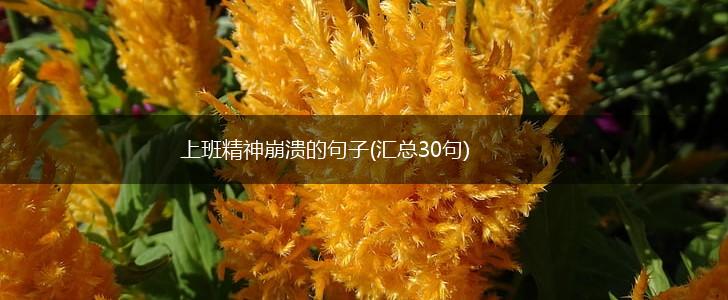 上班精神崩溃的句子(汇总30句),第1张