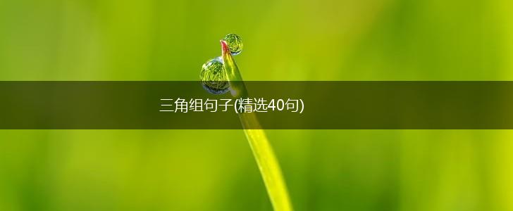 三角组句子(精选40句),第1张
