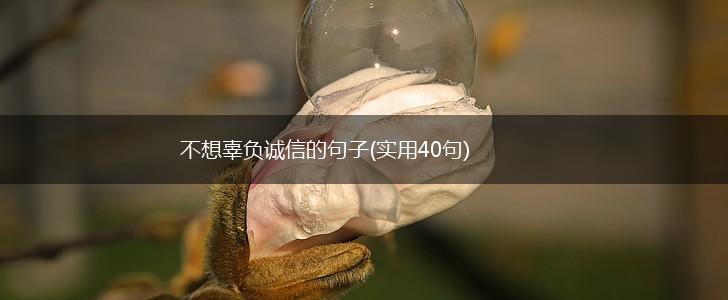 不想辜负诚信的句子(实用40句),第1张